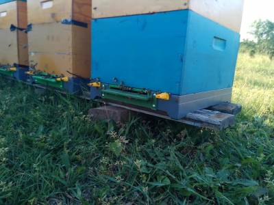 Postavljene podnjače Postavljene podnjače